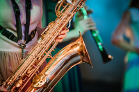 shutterstock_2389110937